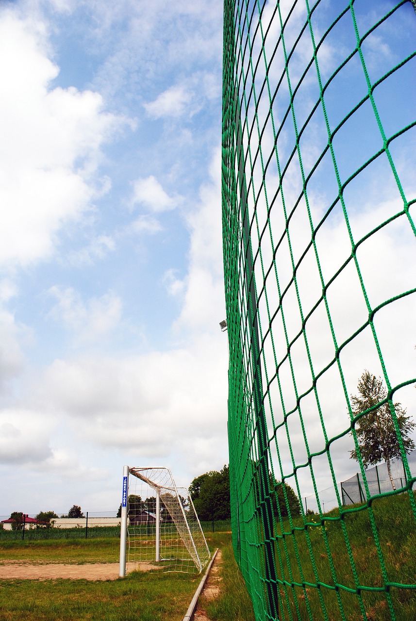 球探体育(2025已更新)最新版本